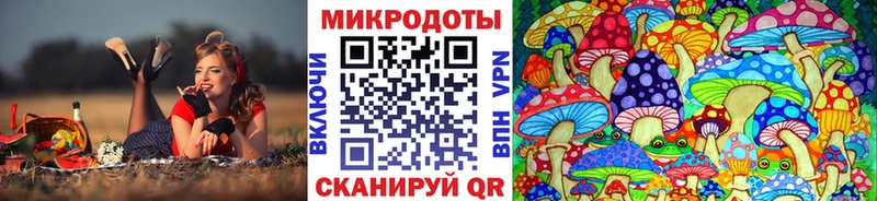 Галлюциногенные грибы GOLDEN TEACHER Глазов