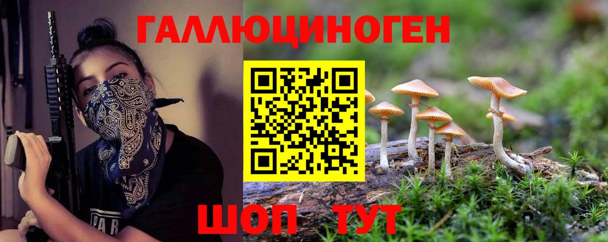 Псилоцибиновые грибы мухоморы  Галлюциногенные грибы Psilocybine cubensis  Глазов  Вход с VPN 